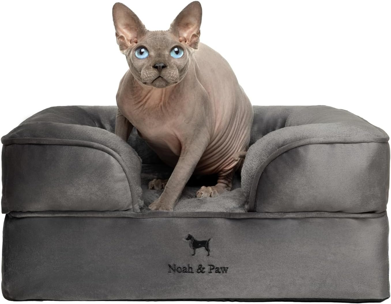 NOAH & PAW Small Dog Bed, 20x15x8 Inch, Cat Bed for Indoor Cats, Orthopedic Eggshell Memory Foam Infused with Cooling Gel, Waterproof Inner Cover Machine Washable (Velvet Collection)