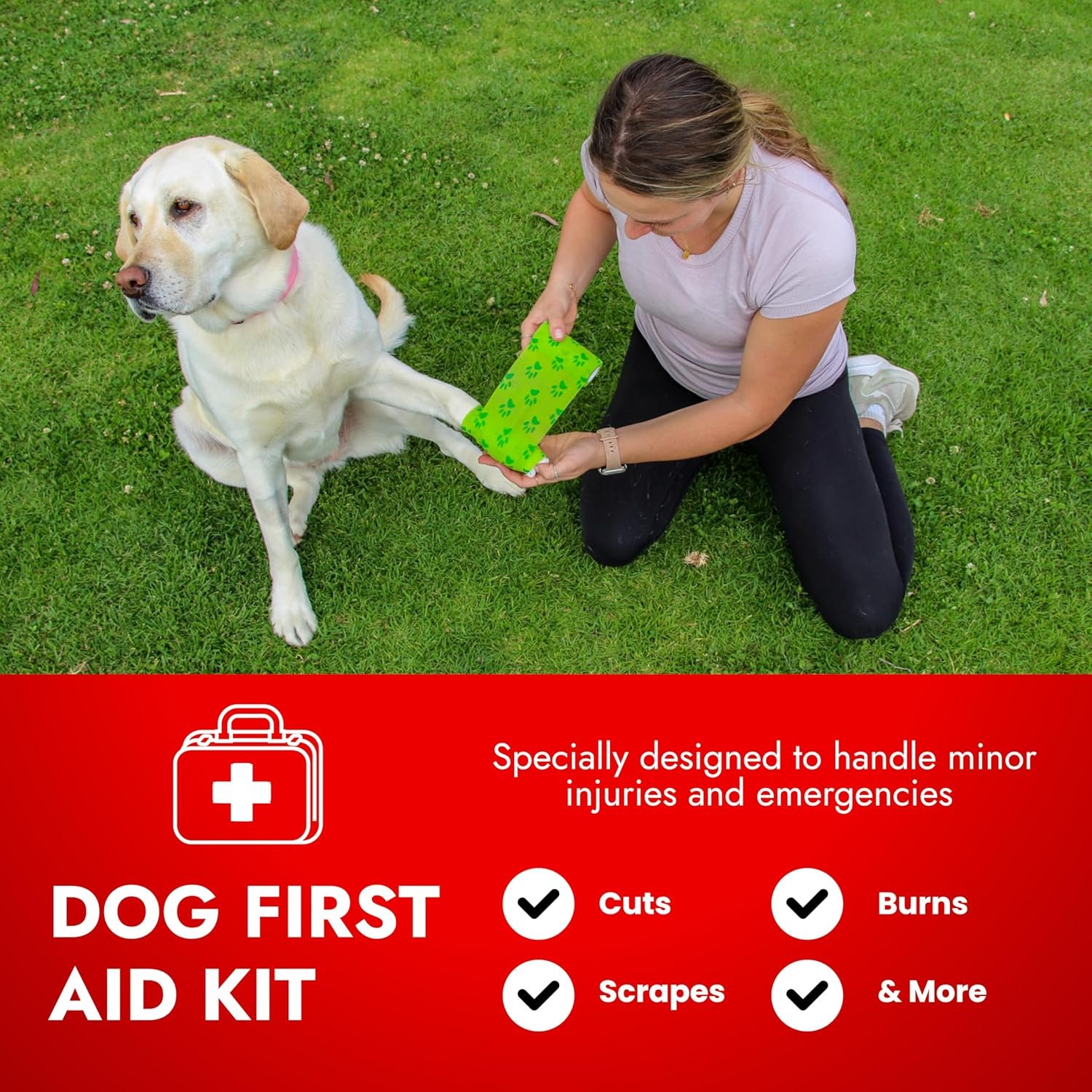 Cat & Dog First Aid Kit – Dog Emergency Kit, Health Supplies & Wound Care -with Thermometer, Bandages for Wounds – Essentials, Travel Bag (Medium)