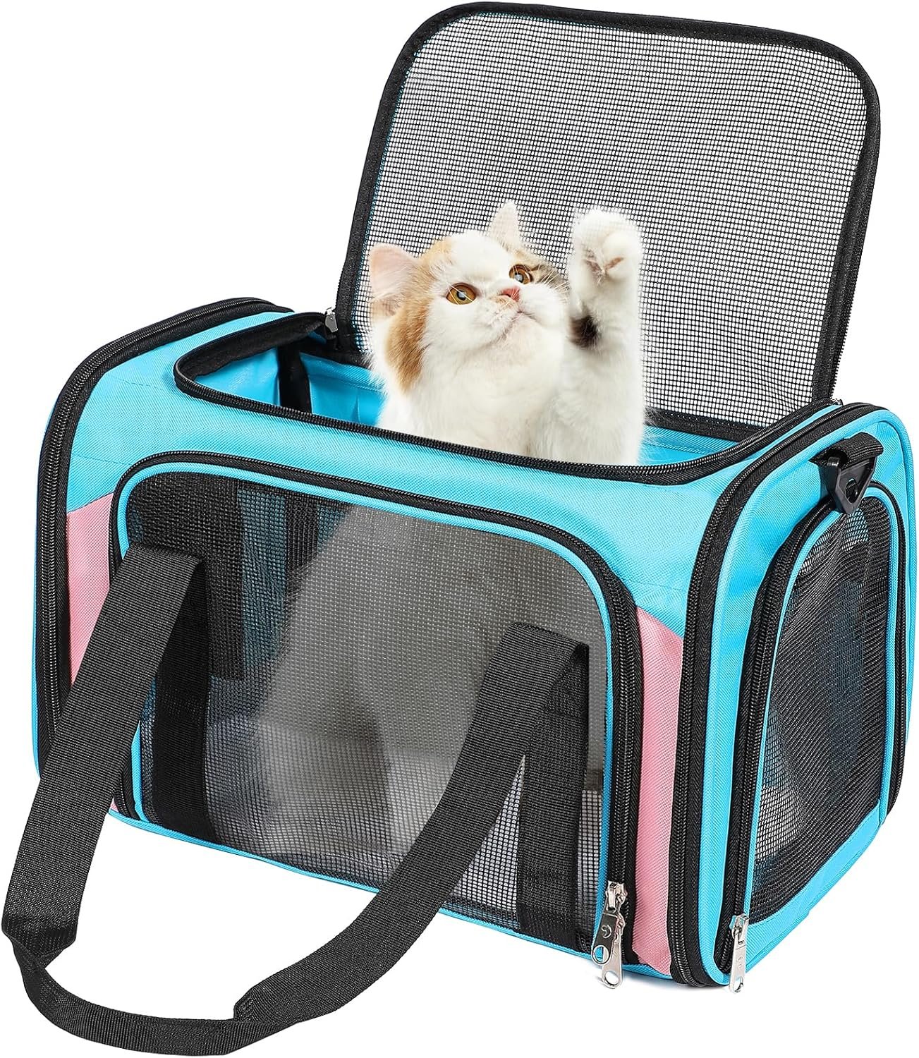 Discala Cat Dog Carrier Up to 15 Lbs TSA Airline Approved Pet Carrier for Small Medium Cats Puppies Dog Carriers for Small Dogs Collapsible Soft Sided Cat Travel Carrier – Blue&Pink 17″x11″x11″