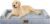 Large Dog Bed Orthopedic Washable: Beds Bolster XL Bed Large Big Dogs Memory Foam Couch Sofa Waterproof with Removable Cover
