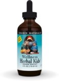 Source Naturals Wellness Herbal Kids Liquid Formula – for Immune System Support – 4 Fluid oz
