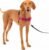 PetSafe Easy Walk Harness for Dogs – Pull-Free Walks – Patented Martingale Loop Design – Front Chest Leash Attachment – Adjustable Comfort Straps – Breathable Harness Design – Medium, Raspberry/Gray